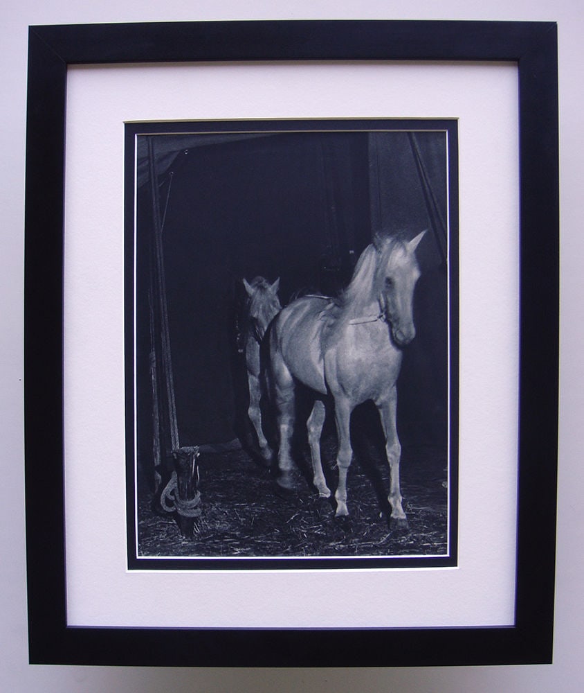 Brassai Horses Antique Photogravure: Brassai (Hungarian-French, 1899-1984). Horses. Approximately 19 x 22 inches. Antique Photogravure. 1937-1940. Teriade. Draeger Freres This artwork is accompanied by a Gallery Certificate of Authentici