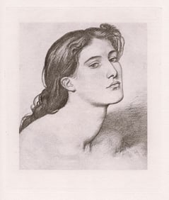 Dante Gabriel Rossetti Female Head 1883 engraving