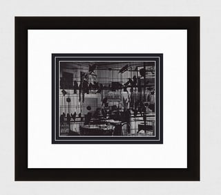 Brassai Henri Matisse's Aviary in his Paris Studio II 1930's photogravure