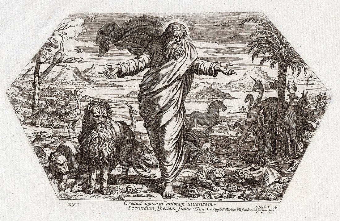 Raphael 1649 Engraving Vatican God Creates the animals (1 of 2)