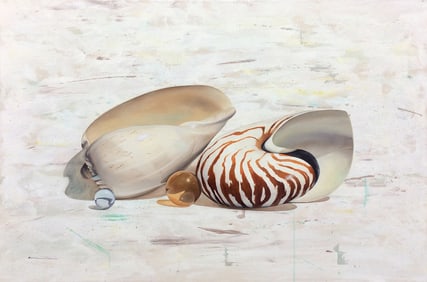 Francisco Casas Original Realism Painting Shells VIII 47 x 31 Inches
