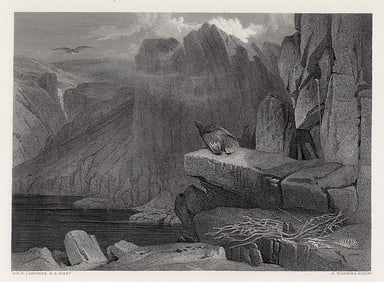 Sir Henry Edwin Landseer The Eagle's Nest 1876 engraving