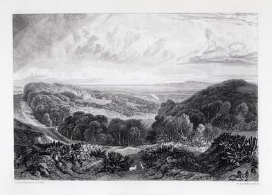 SIGNED William Turner 1800s Engraving Wooded Landscape with Rabbits FRAMED