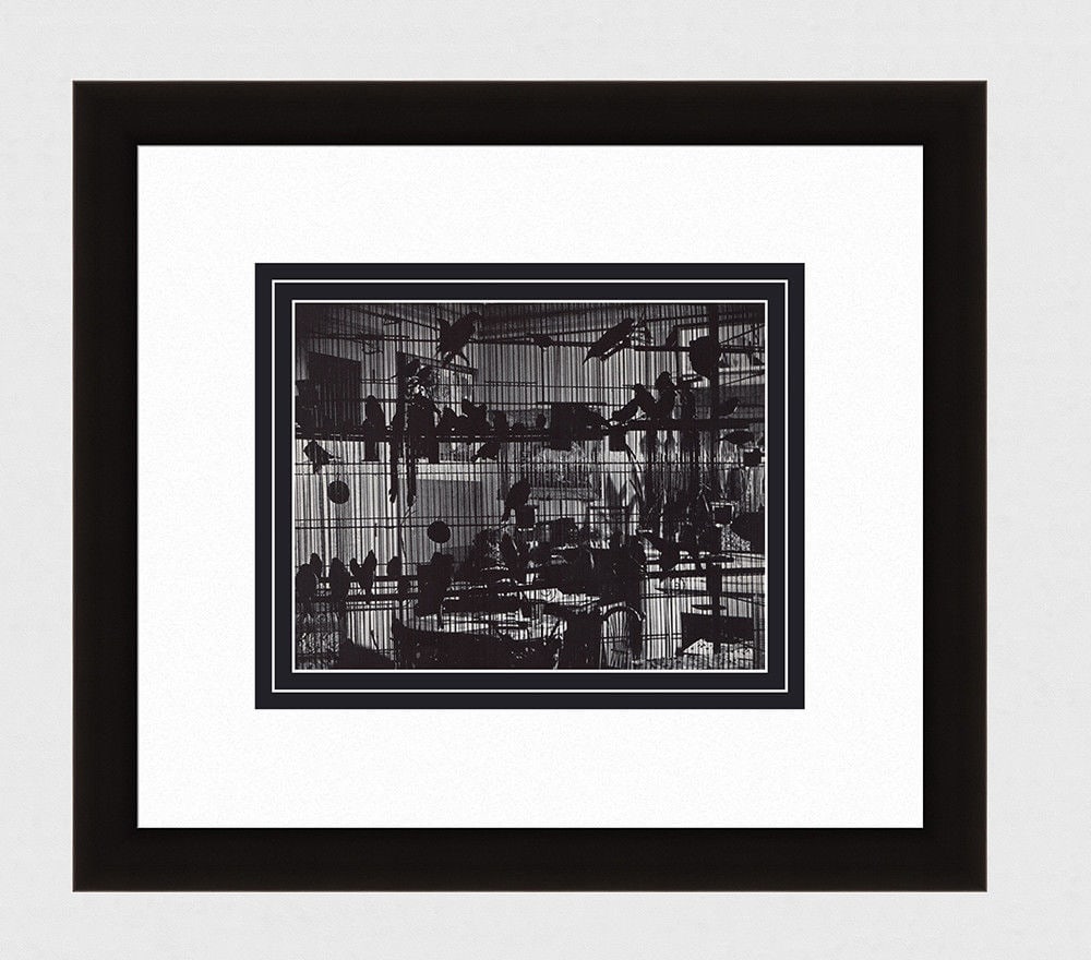 Brassai Henri Matisse's Aviary in his Paris Studio II 1930's photogravure: Brassai. (Hungarian-French, 1899-1984). Henri Matisse's Aviary in his Paris Studio II. Antique Photogravure. 1937-1940. Excellent. Teriade. Draeger Freres. Image size 7 x 9 inches. Approximately 16 x