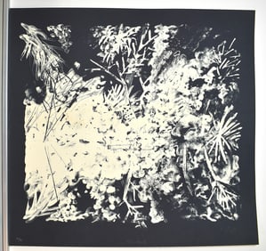 Peter Alexander Original Lithograph Signed and Numbered Ltd. Ed. 50