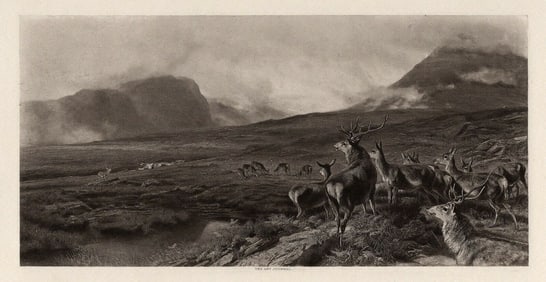 1800s WILLIAM BANKS DAVIS Antique Print Approach to the Bealloch FRAMED COA Condition: --