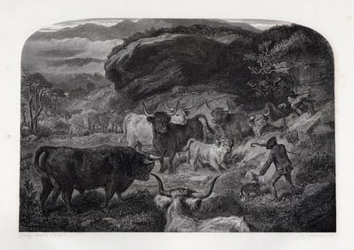 Gourlay STEELL 1800s Engraving Landscape with Cattle Framed SIGNED