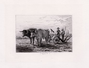 Leopold Massard Oxen Ploughing 1874 Etching Signed