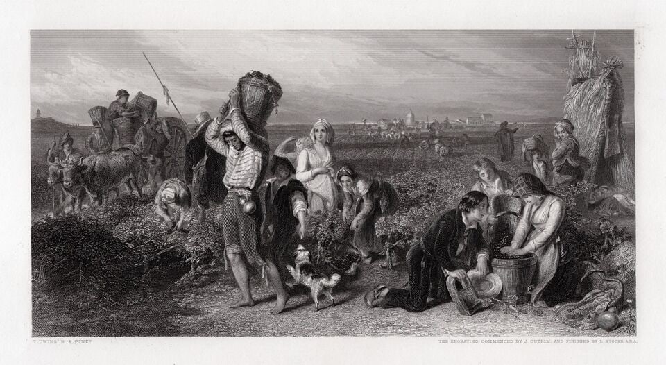 THOMAS UWINS 1800s Engraving Vintage in the South of France Signed FRAMED: Thomas Uwins (British, 1782-1857). The Vintage in the Claret Vineyards of the South of France. Antique engraving on wove paper after the original painting by master engraver Lumb Stocks (British, 1812