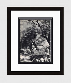 Wilhelm (Willy) Maywald Renoir's House at Cagnes sur Mer 1930's photogravure
