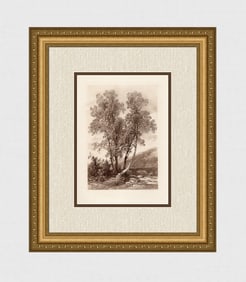 James Harding Study of Ash Trees 1883 engraving