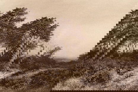 Benjamin Williams Leader Evening's Last Gleam 1899 print: Benjamin Williams Leader. (English, 1831 - 1923). Evening's Last Gleam. Antique heliogravure on wove paper after the original oil on canvas by a Master Engraver. 1899. Excellent. Image Size 6 1/2 x 9