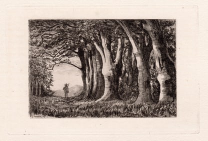 1873 Philip Gilbert Hamerton Beeches etching signed