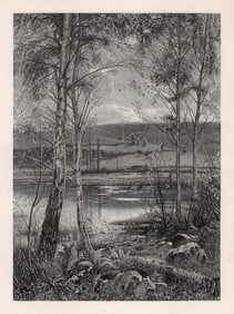 SIGNED 1800s Ernest PARTON Engraving Landscape with Birch Trees FRAMED