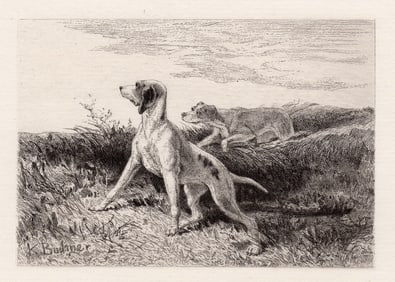 1872 Karl Bodmer Dogs etching signed
