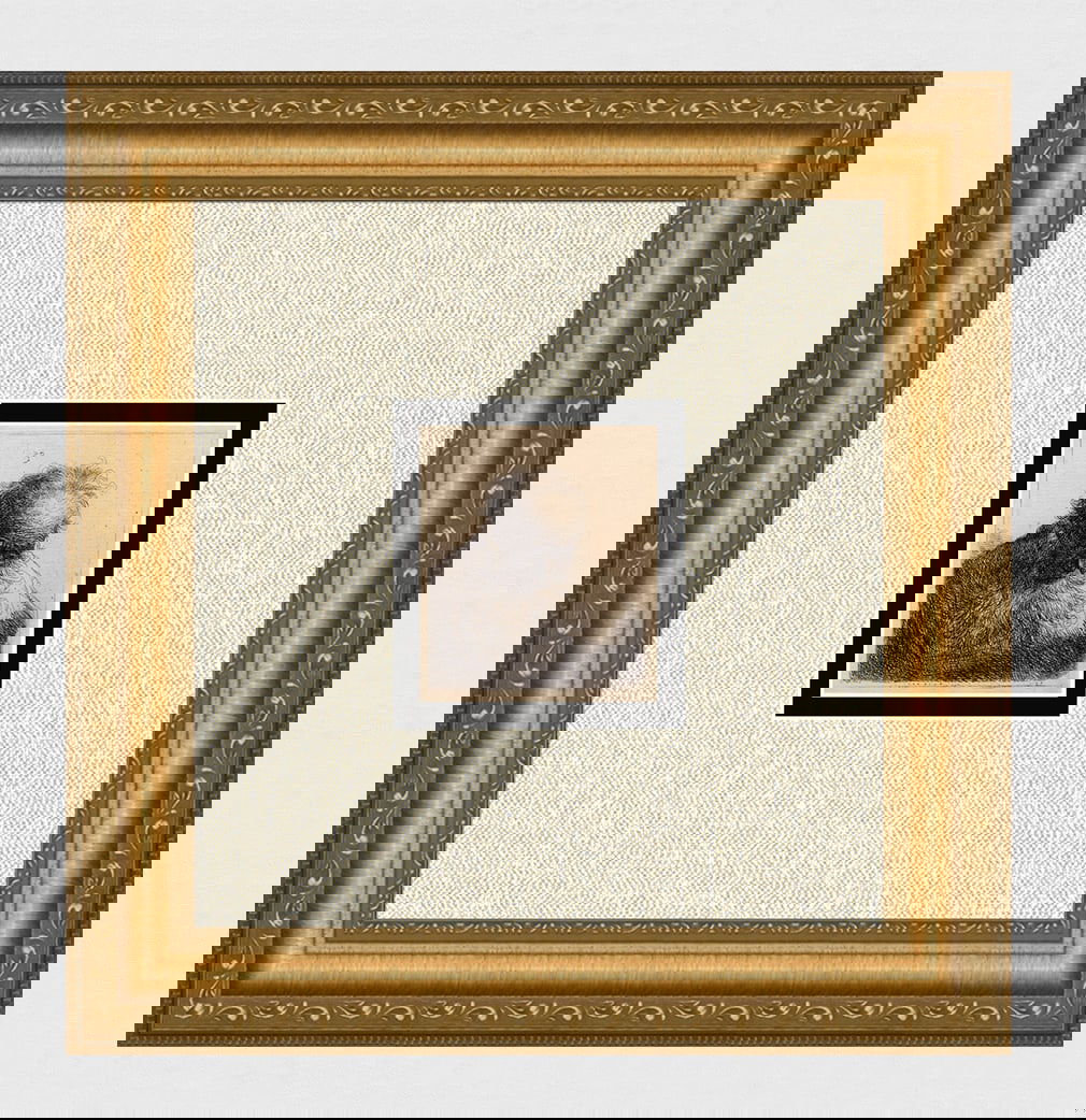 1800s Rembrandt Etching B325 Old Man Flowing Beard DURAND Original Framed (1 of 4)