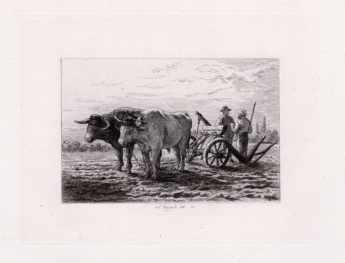 Leopold Massard Oxen Ploughing 1874 Etching Signed (1 of 2)