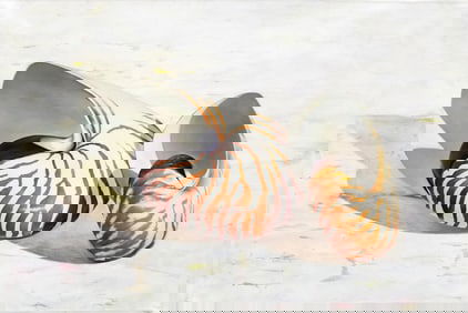 Francisco Casas Original Painting Nautilus Shells 47 x 31 Inches