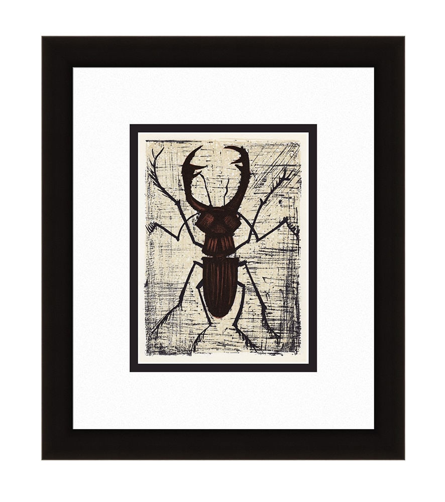 Bernard Buffet Stag Beetle 1967 lithograph: Bernard Buffet. (1928-1999). Stag Beetle. Color Lithograph on Wove Paper after the Original. 1967. Excellent. Atelier Mourlot. Image Size - 6 5/8 x 9 1/4 inches. Approximately 15 x 18 inches . Gallery