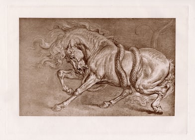 James Ward Horse Attacked by a Serpent 1886 print