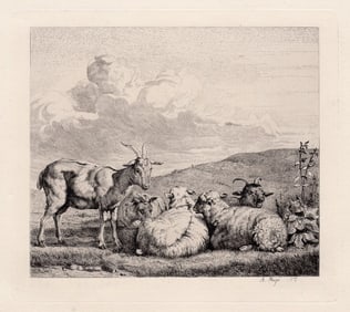 Karel Dujardin Sheep and Goats etching signed