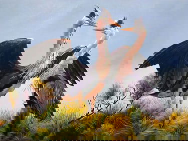 Tapia Original Oil Painting Herons 30 x 40 Inches