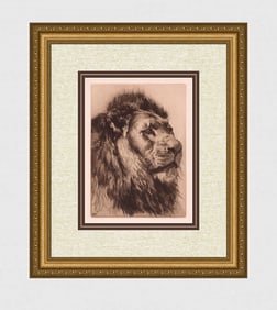 Herbert Dicksee Head of a Lion 1891 etching