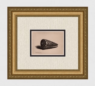 REMBRANDT 1800s Etching B159 The Shell Signed DURAND