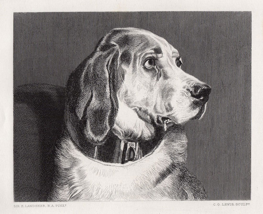 Sir Edwin Henry Landseer Odin engraving signed: Sir Edwin Henry Landseer. (English, 1802-1873). Odin. Antique Steel Engraving on wove paper after the 1836 original by master engraver Charles George Lewis (English,1808-1880). 1879. Signed in the pla