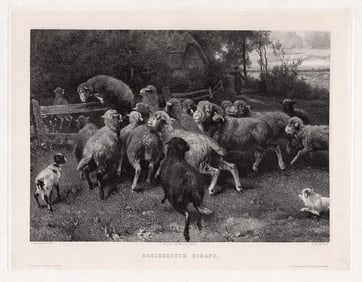 1887 Ernst Adolf Meissner Frightened Sheep(Erschreckte Schafe) print signed