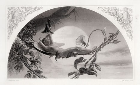 1800s Henry James Townsend Antique Engraving ARIEL Signed Framed