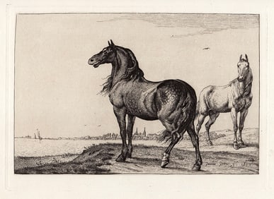 Paul Potter The Neighing Horse 1879 etching signed Durand