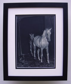 Brassai Horses Antique Photogravure