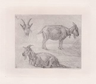 Karel Dujardin Study of Goats 1875 print