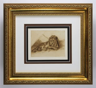 Rembrandt van rijn Lion Study 1880 Antique Print