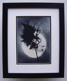 Erwe Kondor The Sun 1930's photogravure