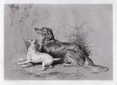 Sir Edwin Henry Landseer Safe! 1876 engraving