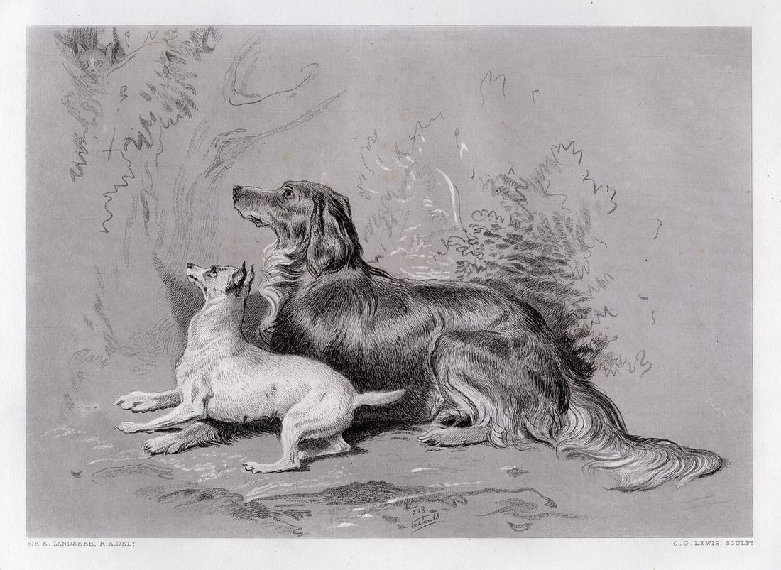Sir Edwin Henry Landseer Safe! 1876 engraving: Sir Edwin Henry Landseer. (English, 1802-1873). Safe!. Antique Steel Engraving on wove paper after the original drawing by Master Engraver Charles George Lewis (1808-1880). 1876. Signed in the plate.
