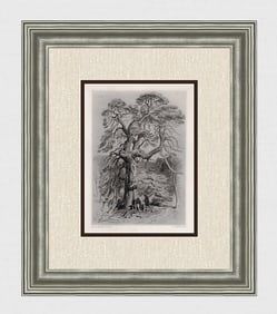 HENRI LANDSEER 1800s Engraving Under the Old fir Tree SIGNED FRAMED