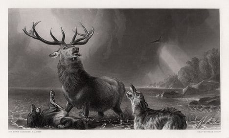 1870 Edwin LANDSEER Engraving The Stag at Bay SIGNED Framed