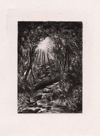 Philip Gilbert Hamerton Rivulet in a Forest 1874 Etching