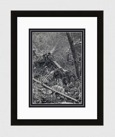 Walter Peterhans Nature Still Life 1930's photogravure