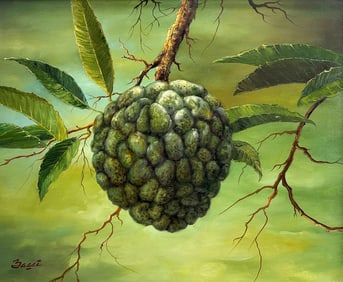Detailed Villaflor Bacci  Original Oil Painting Sweetsop Fruit