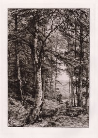 1881 Etching Charles Philip Slocombe Wooded Landscape Framed