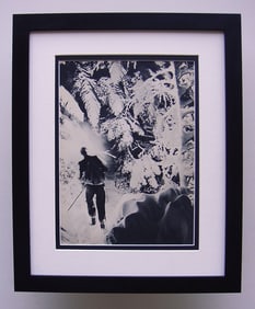 K. Machatschek Leaves 1930's photogravure