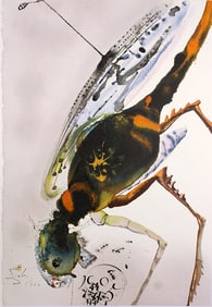 Dali Solomon's Prayer Original Biblia Sacra Lithograph Framed