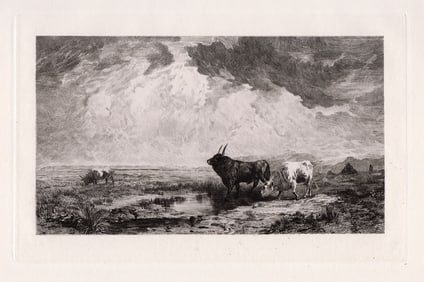 Camille Paris Etching Bulls in Roman Campagna