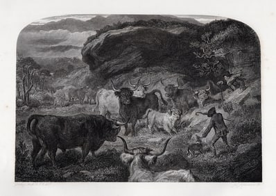 Gourlay STEELL 1800s Engraving Landscape with Cattle Framed SIGNED