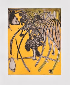 Surreal Jorge CASTILLO Aquatint Etching The Cascade Hand Signed