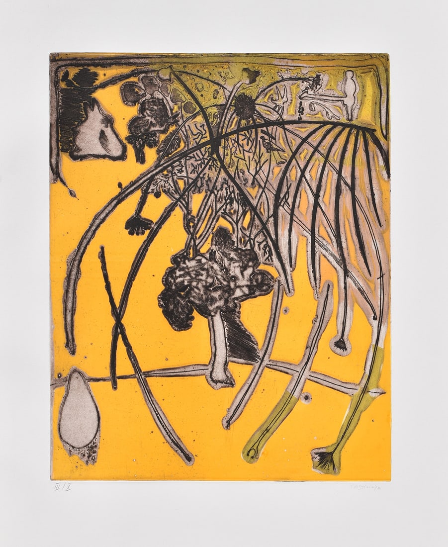 Surreal Jorge CASTILLO Aquatint Etching The Cascade Hand Signed: Jorge Jose Castillo Casalderrey (Spanish, b. 1933). The Cascade(Kasside von den Zweigen). Original aquatint etching Arches paper. Hand signed lower right and numbered left III/X. Publisher: Propyläen